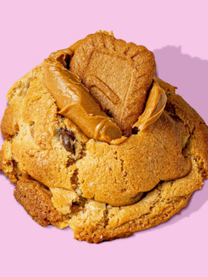 Galleta Lotus Addolcio Cookies