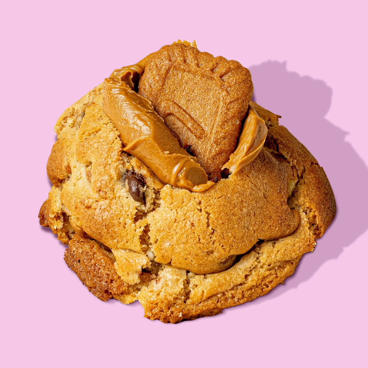 Galleta Lotus Addolcio Cookies